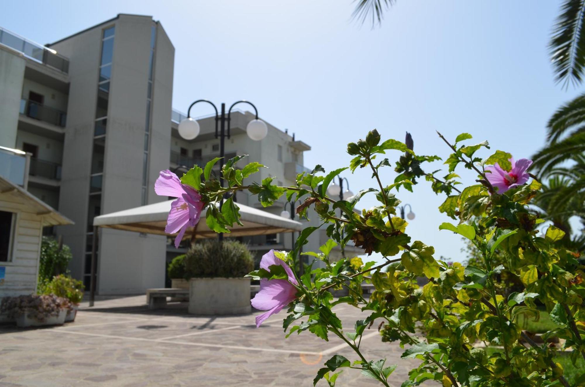 Residence Brezza Di Mare San Benedetto del Tronto Eksteriør bilde